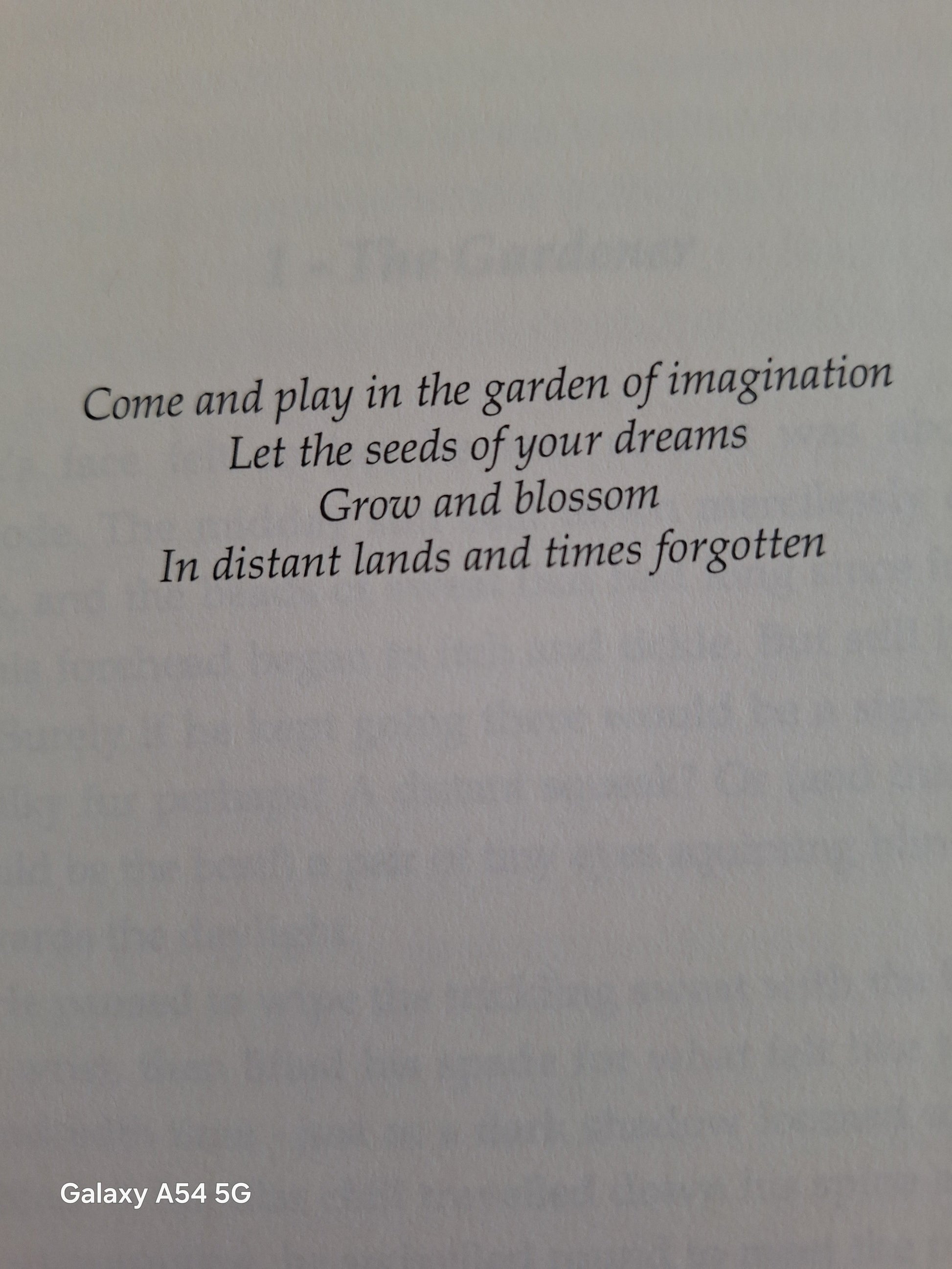 Poem excerpt from The Secret Lake Karen Inglis showcasing imaginative themes and dreams